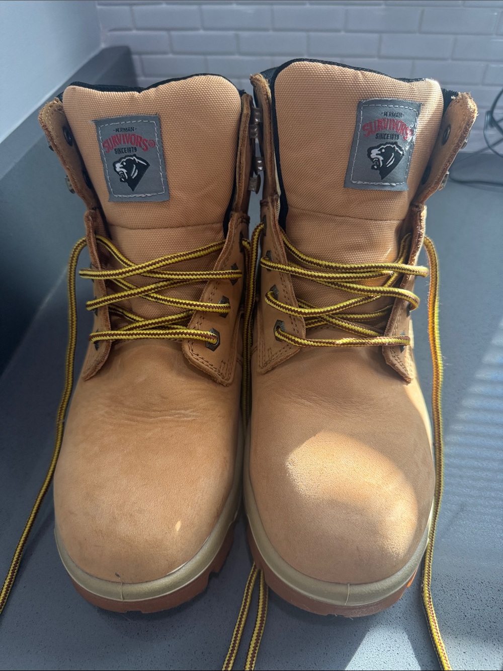 Survivors Pro Tan Work Boots for Men - Durable Outdoor Safety